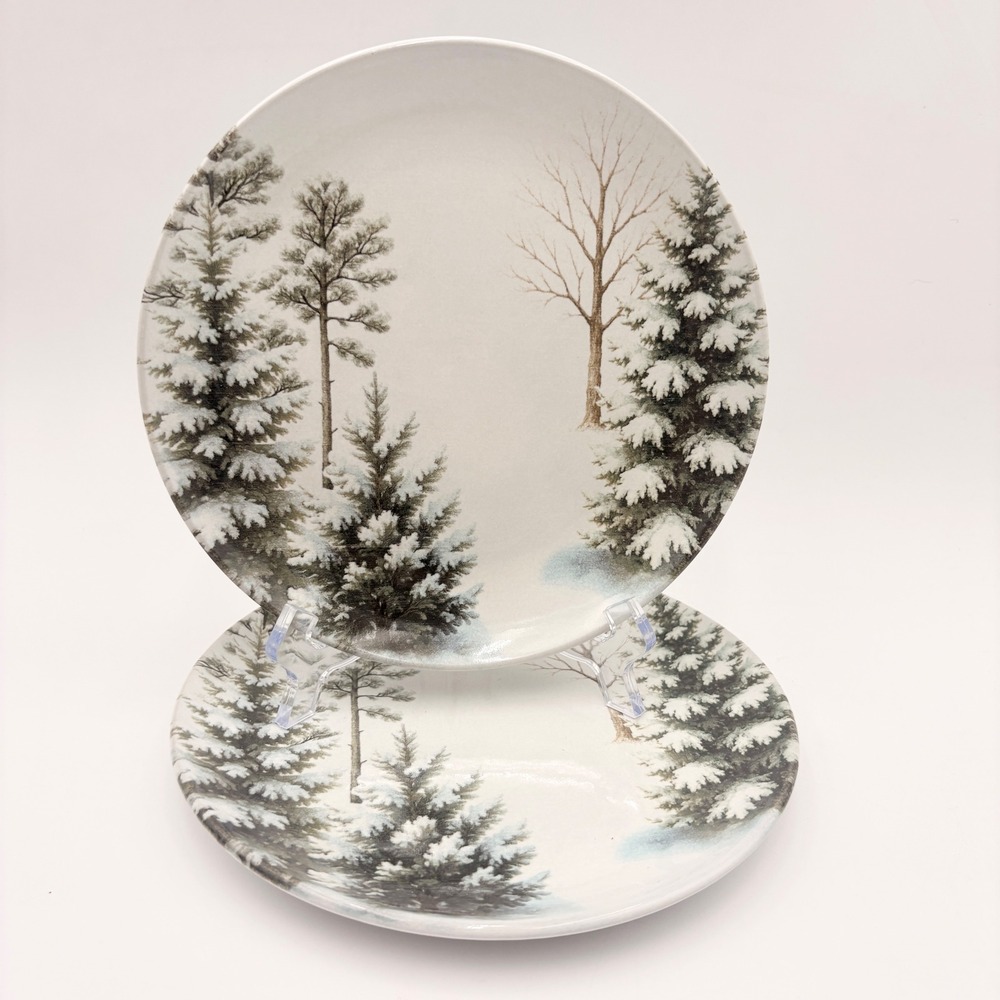 Mesa Brasil Winter Scene Plates Set of 2 Appetizer‎ Salad Dessert Christmas